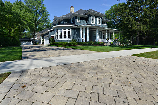 Best Driveway Paving Contractor  in Lacoochee, FL